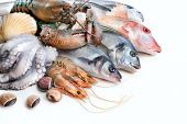 The Benefits of Seafood for Health