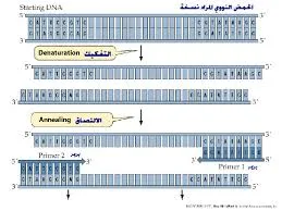 Image result for â«Ø¬ÙØ§Ø² PCRâ¬â