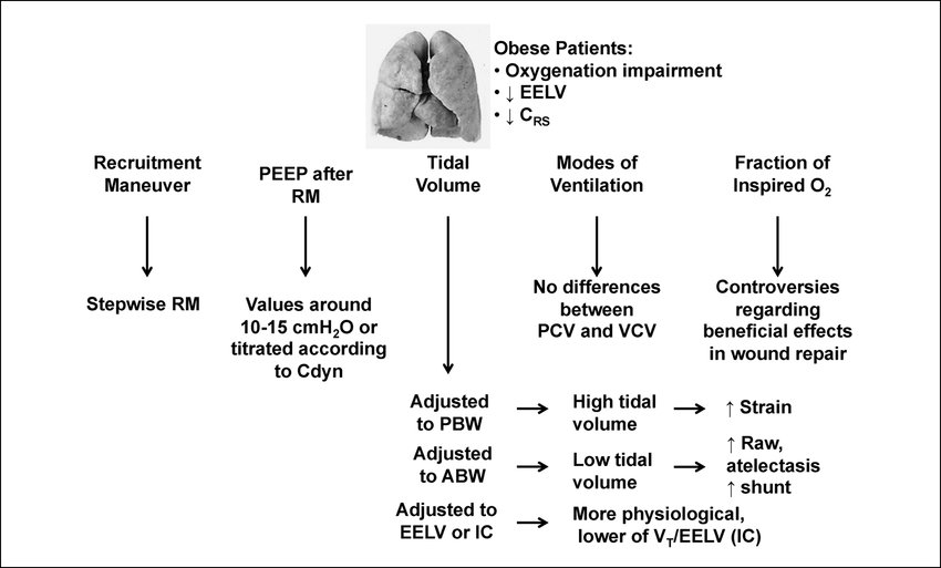 C:\Users\Morning\Desktop\Mechanical-ventilation-in-obese-patients-Obese-patients-present-low-levels-of (1).ppm