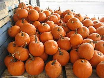 https://upload.wikimedia.org/wikipedia/commons/thumb/5/5c/FrenchMarketPumpkinsB.jpg/350px-FrenchMarketPumpkinsB.jpg