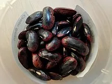 https://upload.wikimedia.org/wikipedia/commons/thumb/a/a4/Bean_Local_Bhote.jpg/220px-Bean_Local_Bhote.jpg