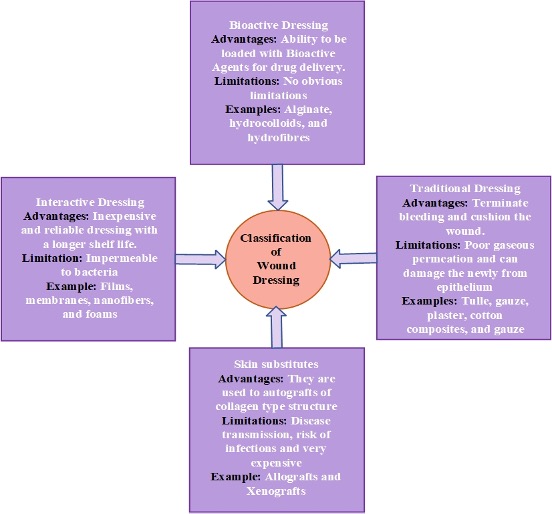 Classification of Wound Dressing