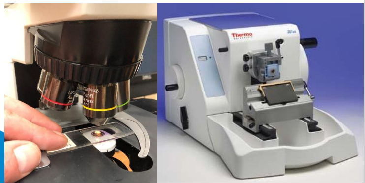 Microscope and microtome used in histopathology laboratory work