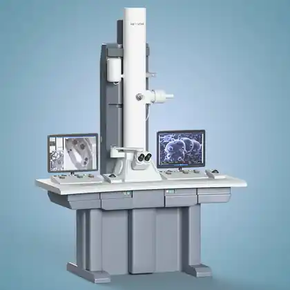 Scanning Electron Microscopy (SEM)