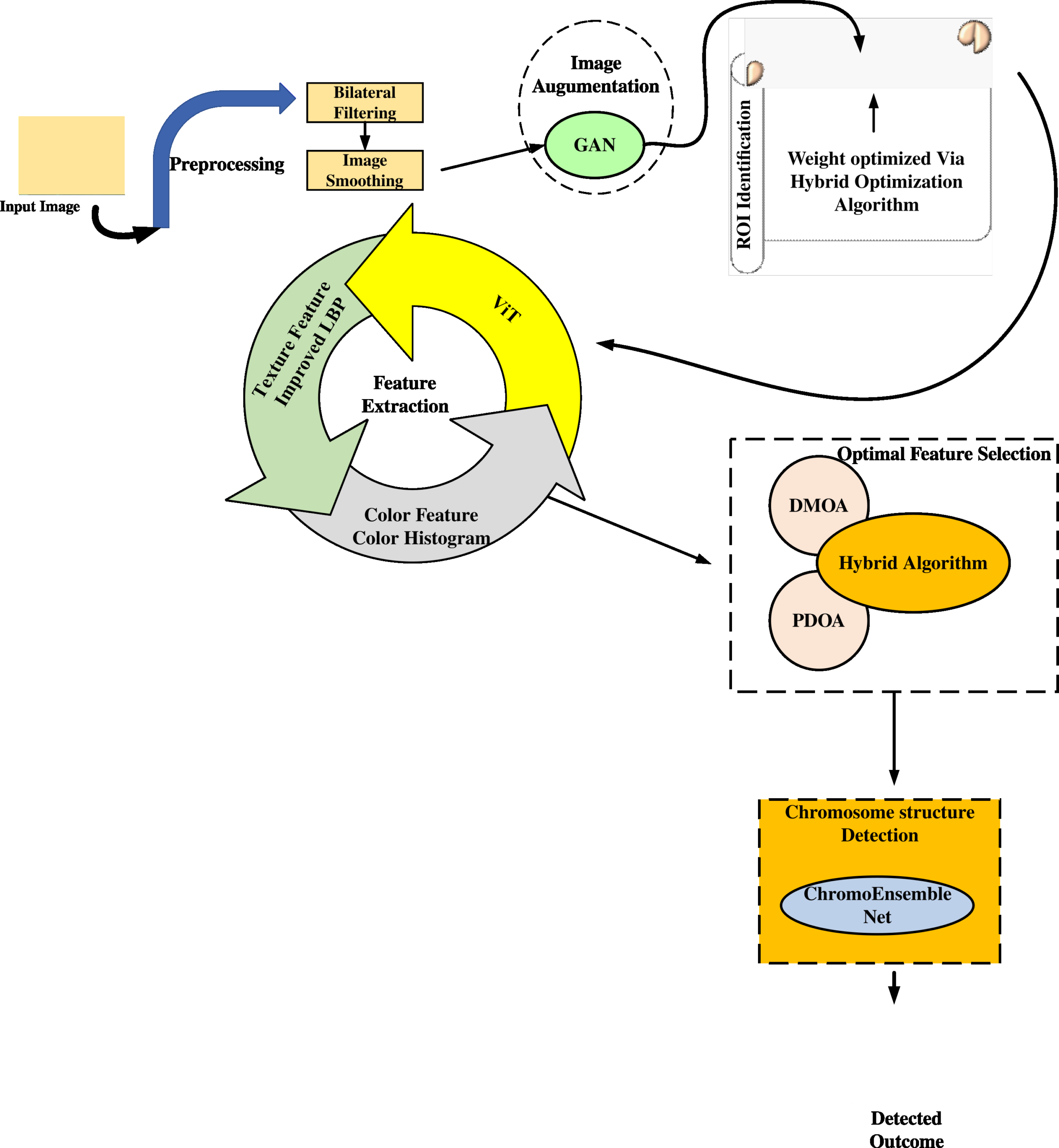 Figure 1 Overall flow diagram of ChromoEnsembleNet