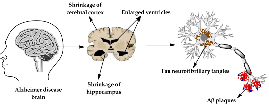 Original diagram from manuscript 154129
