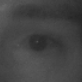 Figure 6: OPEN EYES DATASET