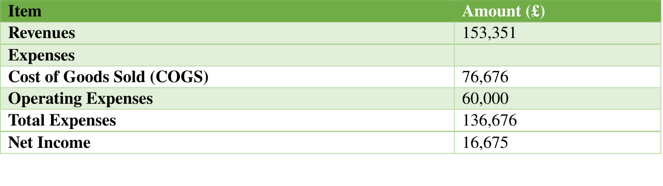 AfriChic pro forma income statement