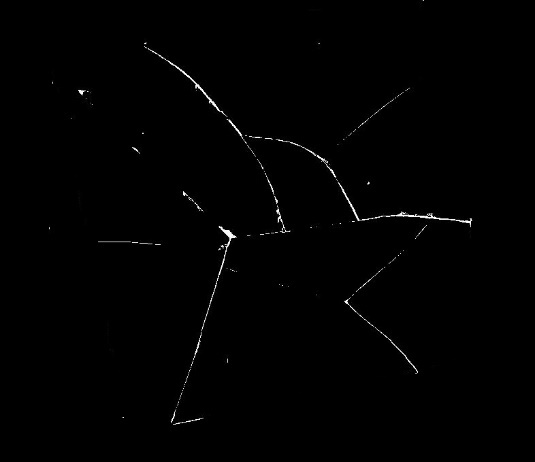 Original research figure from the supplied manuscript