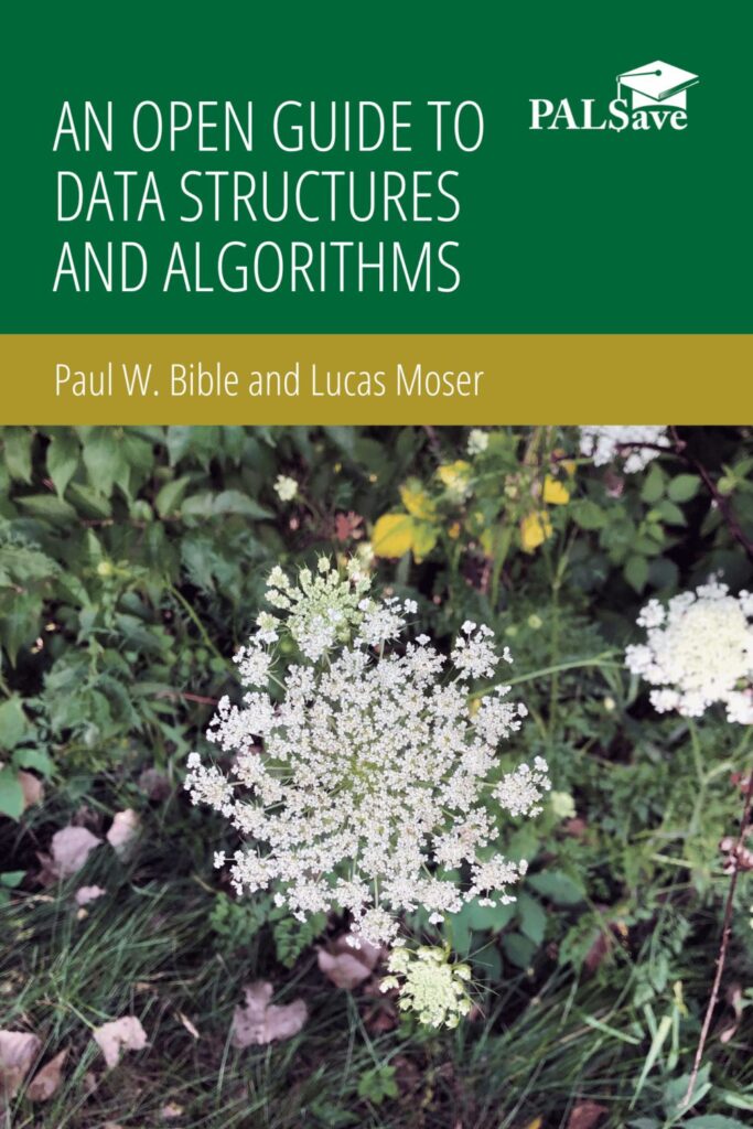 An Open Guide to Data Structures and Algorithms — book cover