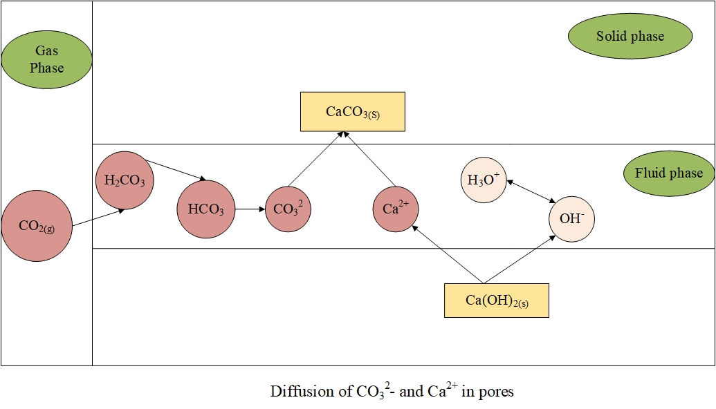 Concrete Carbonation Mechanisms and Depth Prediction Methods 1 Concrete carbonation mechanism