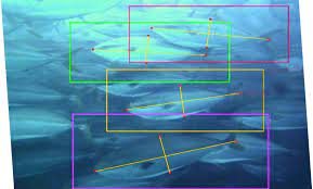 Fig.1.18 Fish identification using DL Technique