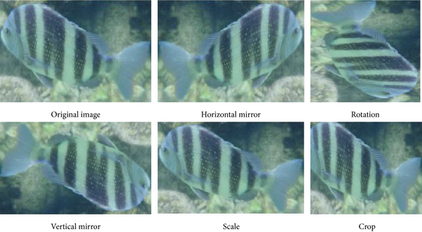 Fig.1.20 Fish Detection using Machine Learning