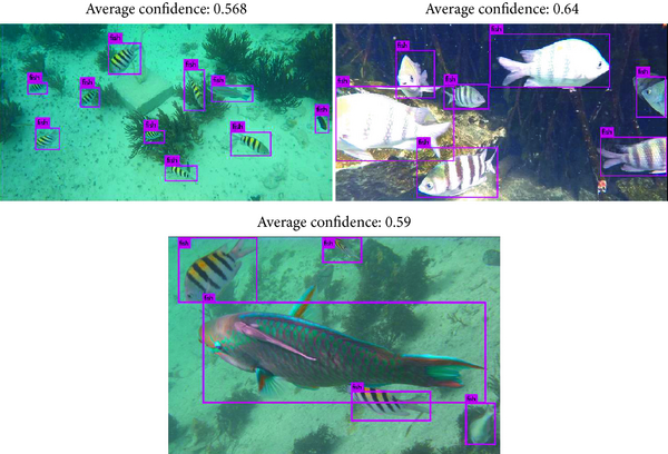 Fig.1.22 Fish detection using Deep Learning