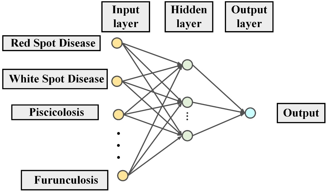 Fig.4.7 Fish disease prediction using an ANN structure