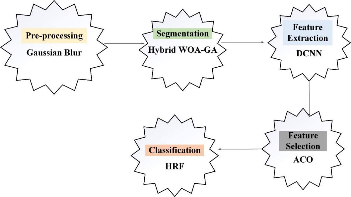 Fig.4.8 Flow of Contribution 3