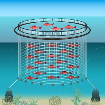 Fig.1.2 Illustrations image of Aquaculture