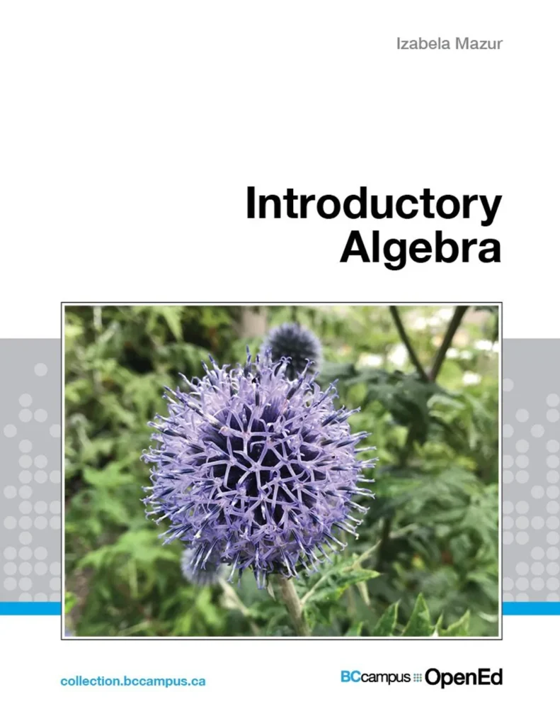 Introductory Algebra