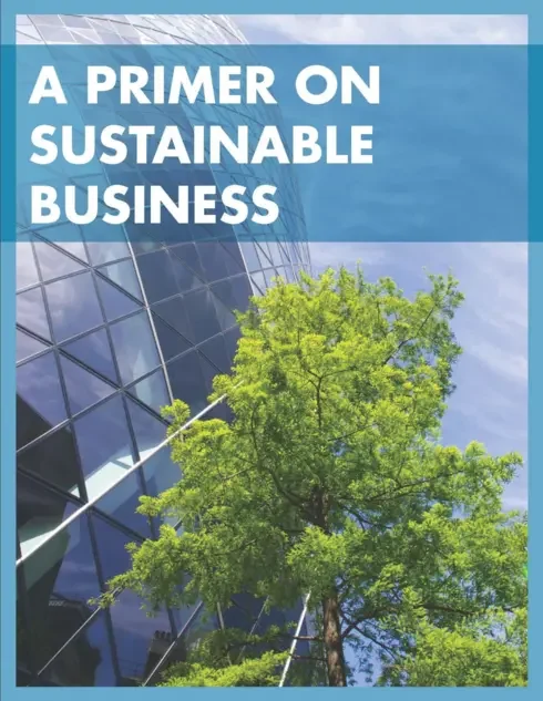 Original cover of A Primer on Sustainable Business by Anonymous